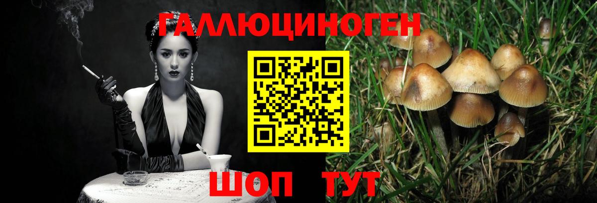 Псилоцибиновые грибы прущие грибы  Вход с VPN  Псилоцибиновые грибы прущие грибы  Краснотурьинск 